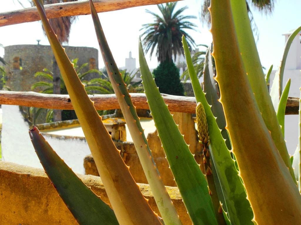 Patio De La Luna อซิลาห์ ภายนอก รูปภาพ